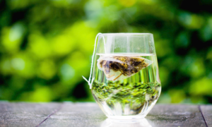 ceai verde-polifenoli